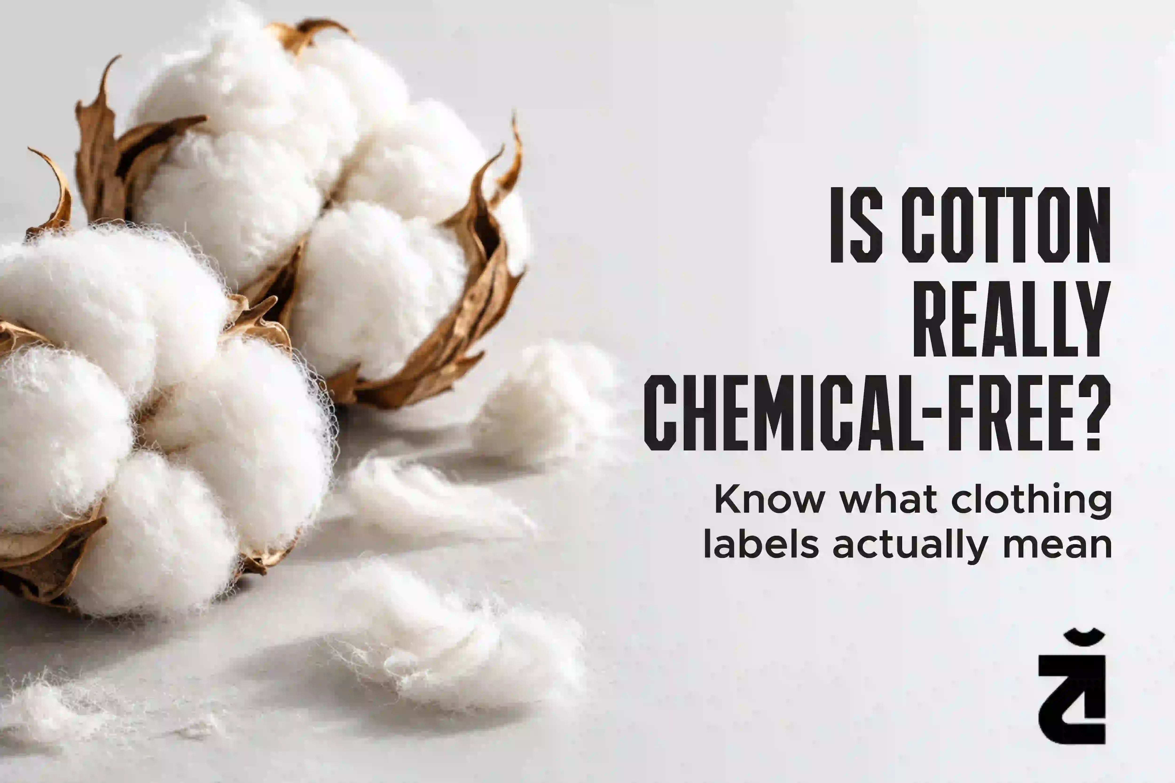 chemical free clothing